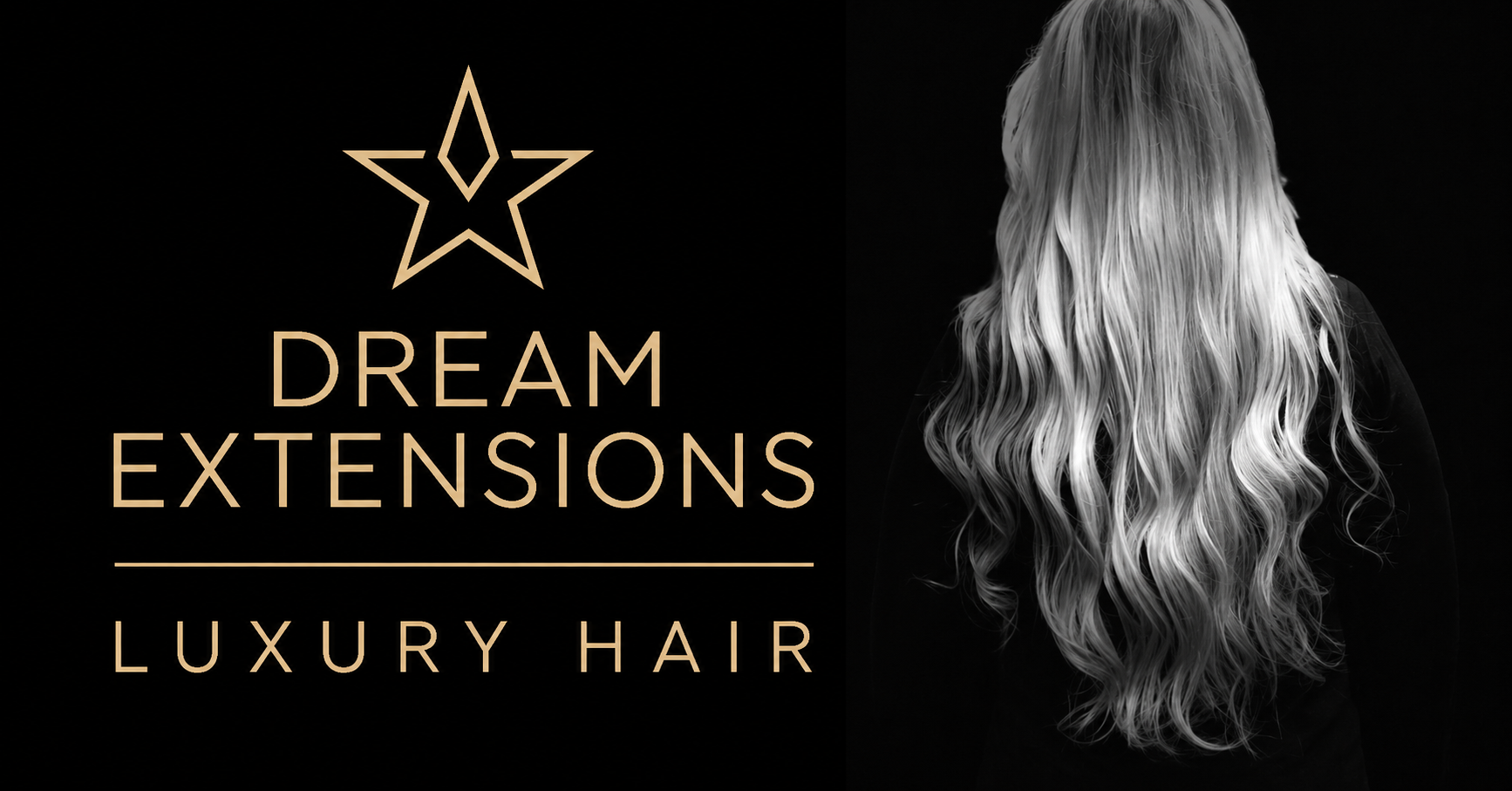 Dream Extensions ApS logo